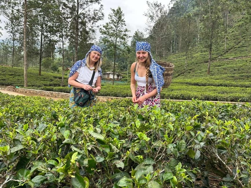 Nuwara Eliya Tea & Ramboda Falls Taxi tours for 5 pax - Puna Ella Falls in Ramboda
