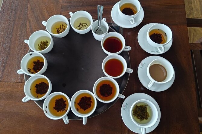 Nuwaraeliya Tea Factory and WaterFall Tour’s With DMJ Tours - The guides and the tone of the day