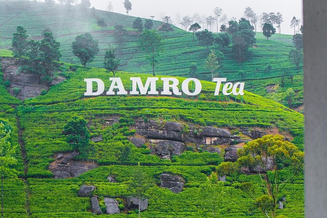 NuwaraEliya Tea Factory,Plantation & Water Falls Hike Tour by Car - Key points to know before you book
