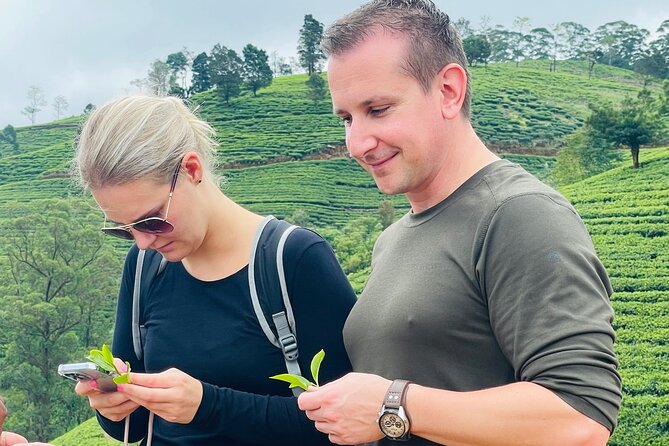 NuwaraEliya Tea Factory,Plantation & Water Falls Hike Tour by Car - What the private format changes