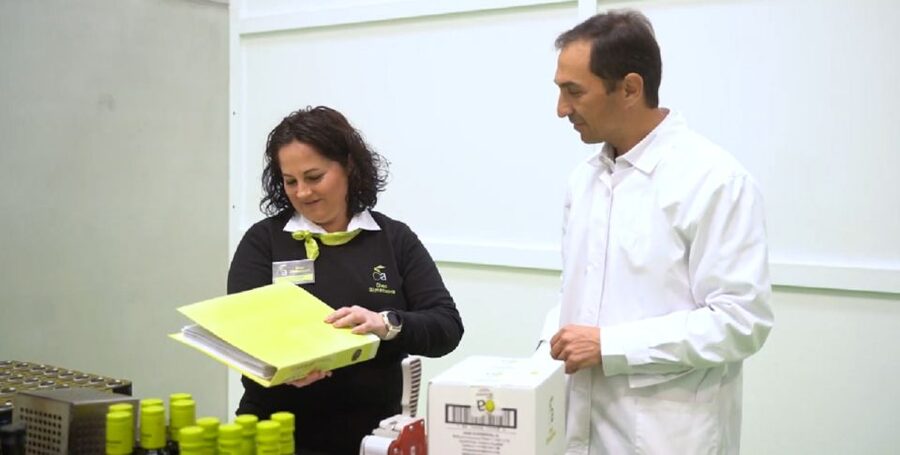 OleoAlmanzora: Guided tour + EVOO Breakfast/Afternoon tea - Ending in the gourmet shop