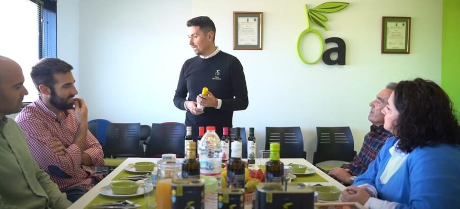 OleoAlmanzora: Guided tour + EVOO Breakfast/Afternoon tea - Starting among the olive trees near Pulpí
