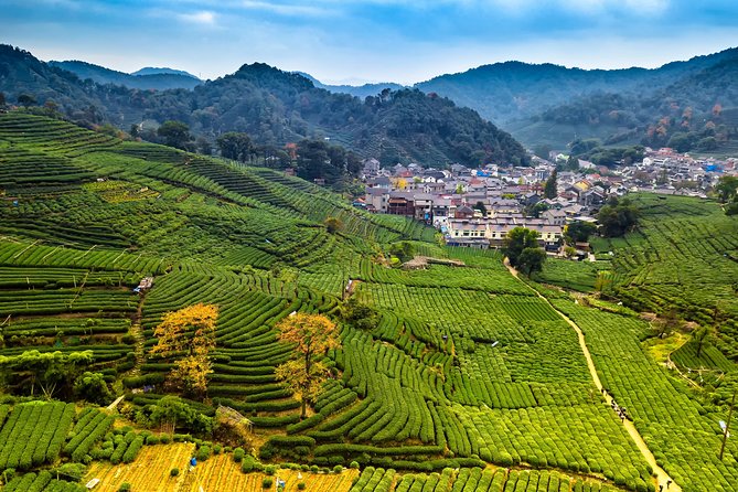 One-Day Hangzhou Dragon Well Tea Culture & West Lake Private Tour - Meijiawu Tea Village and the making of Dragon Well tea