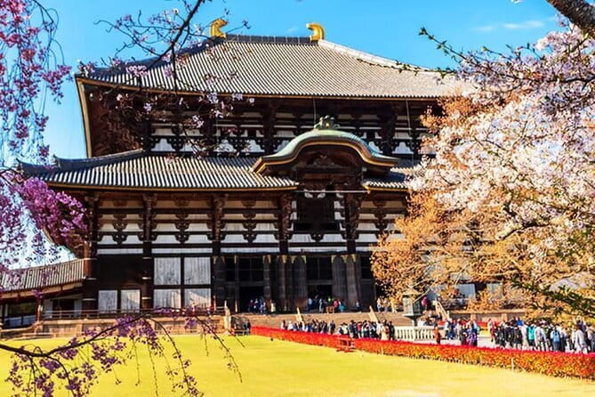 Osaka: Nara, Todaiji, Uji Matcha, and Hot Spring Tour - Kasuga-taisha: lanterns, forest paths, and another extra ticket