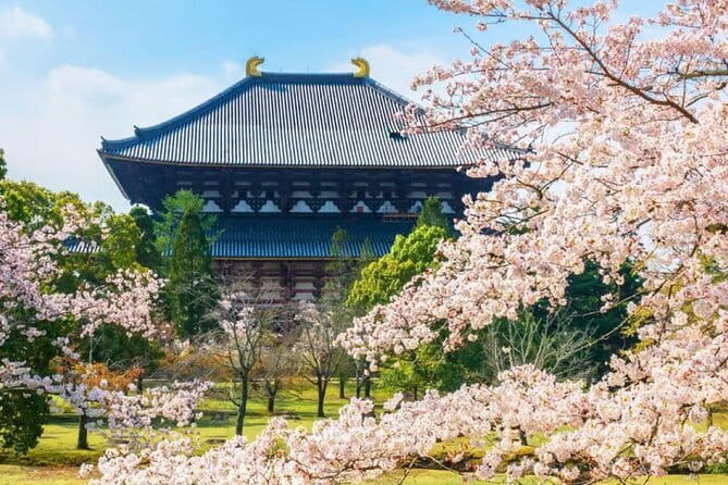Osaka: Nara, Todaiji, Uji Matcha, and Hot Spring Tour - Tōdai-ji and the Great Buddha: allow time for the main sight