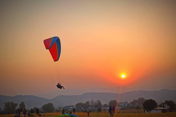 Palampur and Bir Tour, Tea Gardens, Adventures and Paragliding - Key points to know before booking