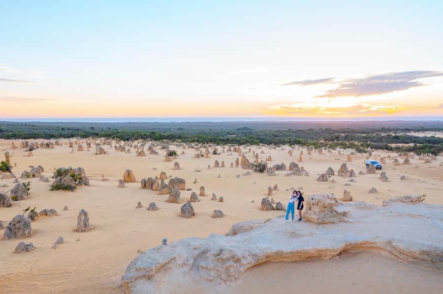 Perth: Pinnacles Desert Lobster Tour with Morning Tea - Who should book this day out?