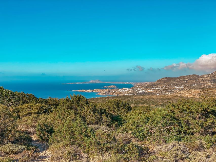 Pigadia: Agia Kyriaki Guided Hike with Coffee/Tea and Raki - The return through pine woods
