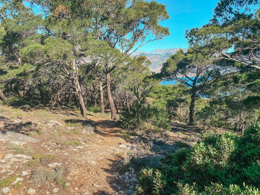 Pigadia: Agia Kyriaki Guided Hike with Coffee/Tea and Raki - Is $54 a fair price?
