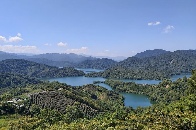 Pinglin Tea Culture & Maokong Day Tour from Taipei - Key points to know before you book