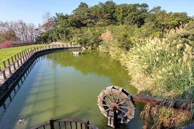 Pinglin Tea Culture & Maokong Day Tour from Taipei - Walking the Maokong Jhangshu Tea Fragrance Loop