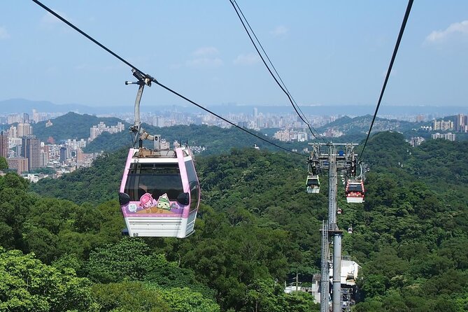 Pinglin Tea Culture & Maokong Day Tour from Taipei - Seeing Thousand Island Lake from Shiding