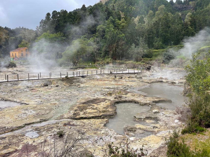 Privat van tour Furnas valley, Gorreana tea – islands gems - Key points before you book