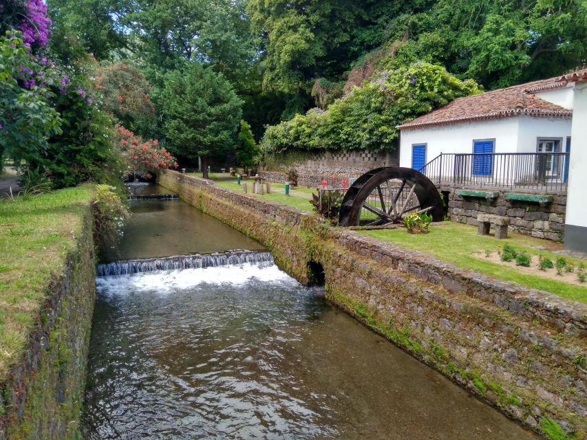 Privat van tour Furnas valley, Gorreana tea – islands gems - Why this private São Miguel day works