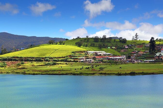 Private day tour kandy to nuwara eliya tea plantation - Key points at a glance