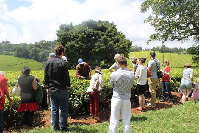 Private Day Trip to Kiambethu Tea Farm in Limuru from Nairobi - Tea at a family farm dating from 1910