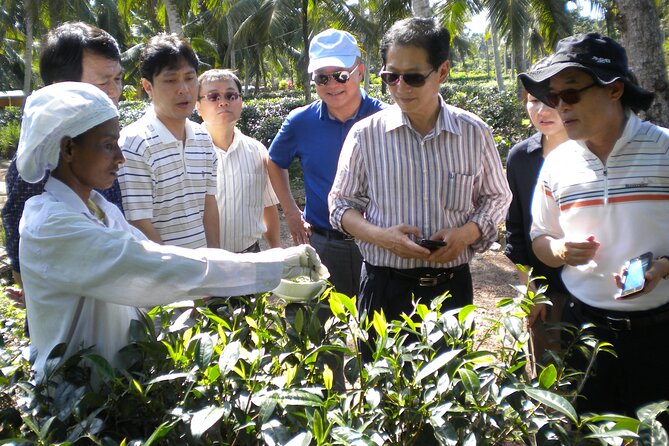 Private Galle Day Tour with Boat Safari & Tea Factory Visit - All Inclusive - Gem museum and showroom: useful, but keep your buying head on
