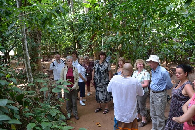 Private Galle Day Tour with Boat Safari & Tea Factory Visit - All Inclusive - Lunch, water, and the value of the all-inclusive price