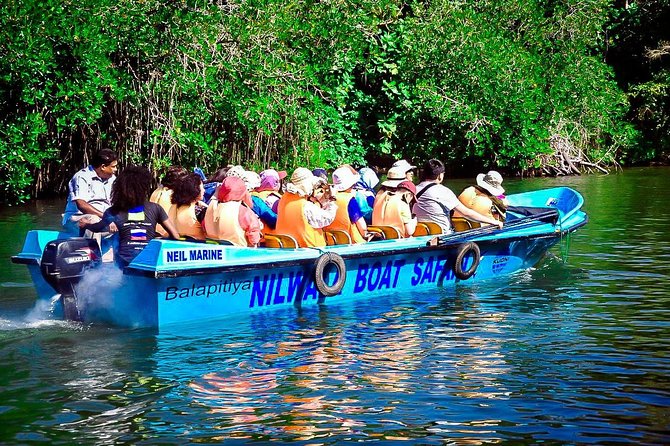 Private Galle Day Tour with Boat Safari & Tea Factory Visit - All Inclusive - Tea plantation and factory visit