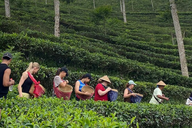 Private Half-Day Tea Village Discovery with lunch in Yogyakarta - Key points to know