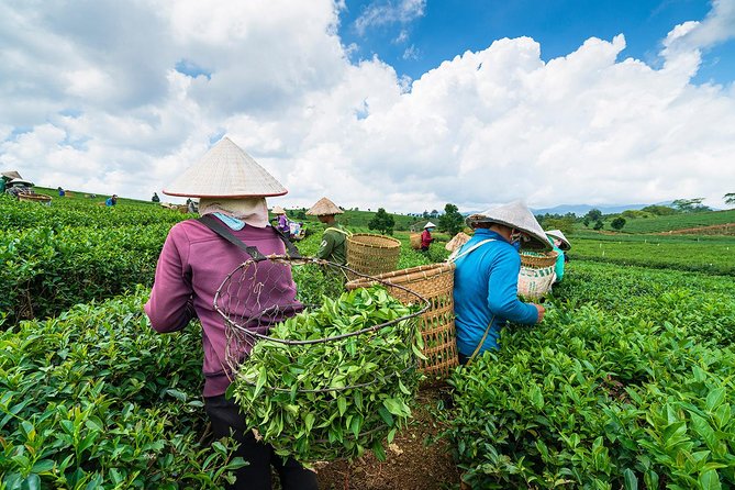 Private Hangzhou Day Tour to West Lake, Lingyin Temple, Tea Village, Old Pagoda - West Lake from a sightseeing boat