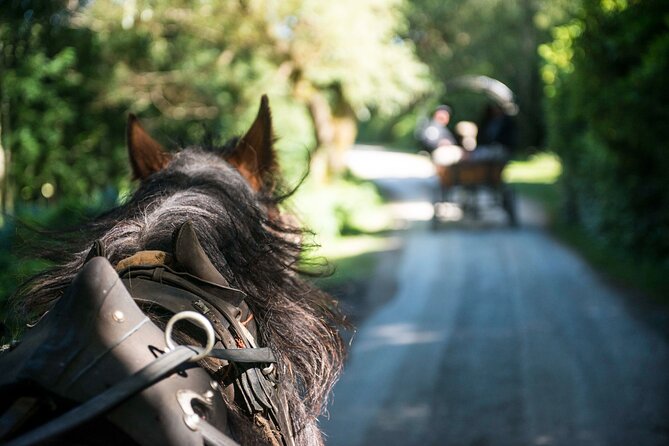 Private Jaunting Tour and Afternoon Tea in Killarney - Ross Castle and its short 15-minute stop