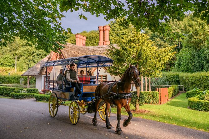 Private Jaunting Tour and Afternoon Tea in Killarney - The Lakes of Killarney from a horse-drawn carriage
