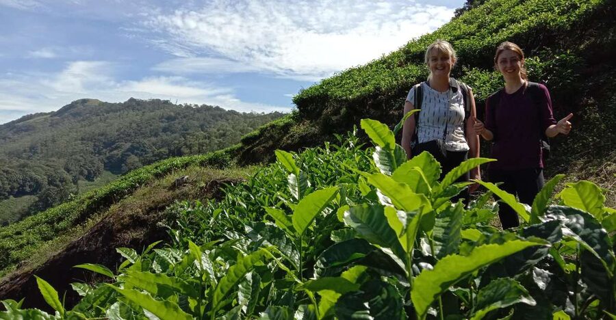 Private Munnar Tea Trek - Key points at a glance