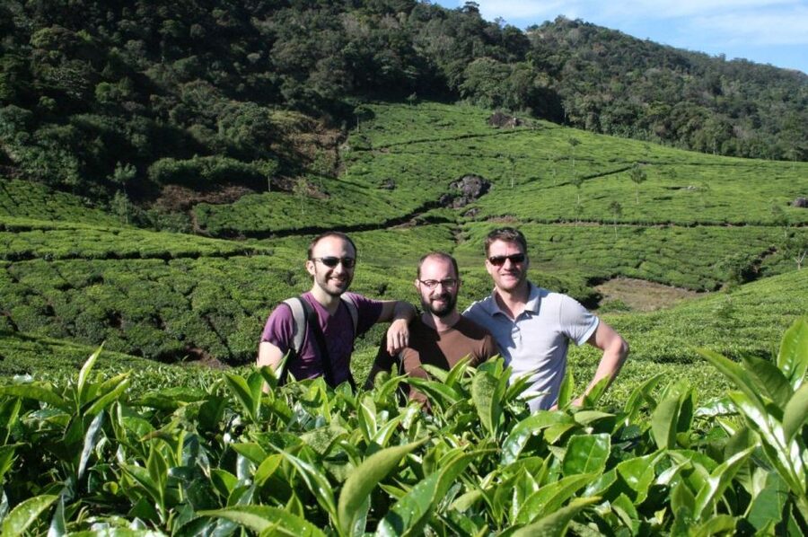 Private Munnar Tea Trek - Seeing tea as work, not just scenery