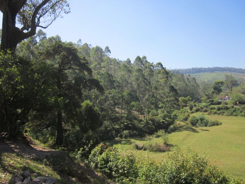 Private Munnar Tea Trek - What the guides add to the day