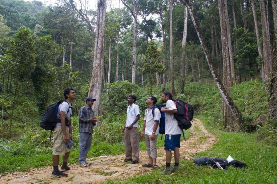 Private Munnar Tea Trek - Is $14 good value?