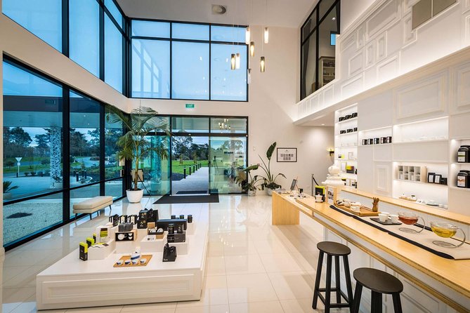 Private tour from Auckland - Waitomo Glowworm Caves, Zealong Tea & Kiwi Bird - Zealong Tea Estate and a very New Zealand afternoon