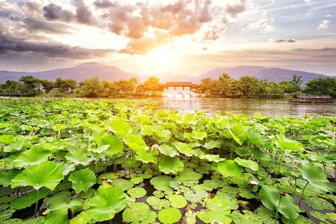 Private Tour Hangzhou West Lake and Tea Fields Discovery - Why this Hangzhou day works so well