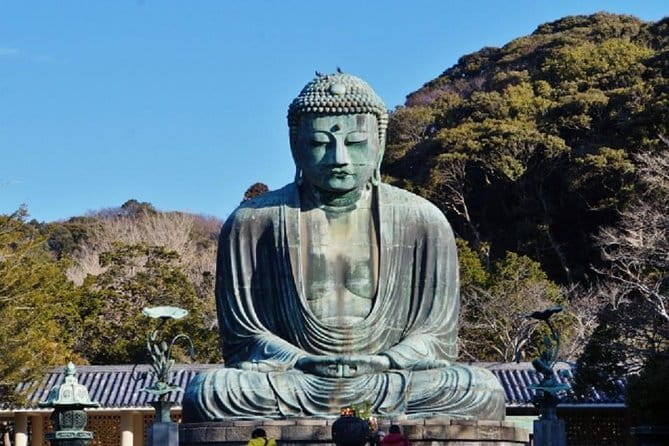 Private Tour in Kamakura: Matcha Tea Tasting & Photo Session - Green tea in a Zen setting