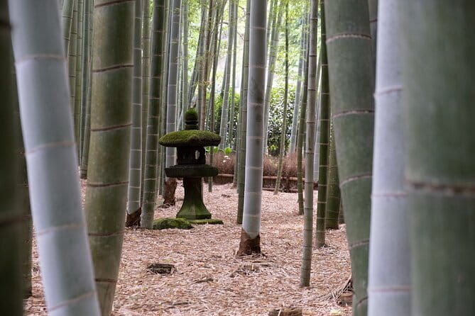Private Tour in Kamakura: Matcha Tea Tasting & Photo Session - What Bruno adds as a photographer and guide