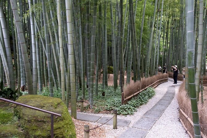Private Tour in Kamakura: Matcha Tea Tasting & Photo Session - Hokoku-ji and its 40-minute bamboo walk