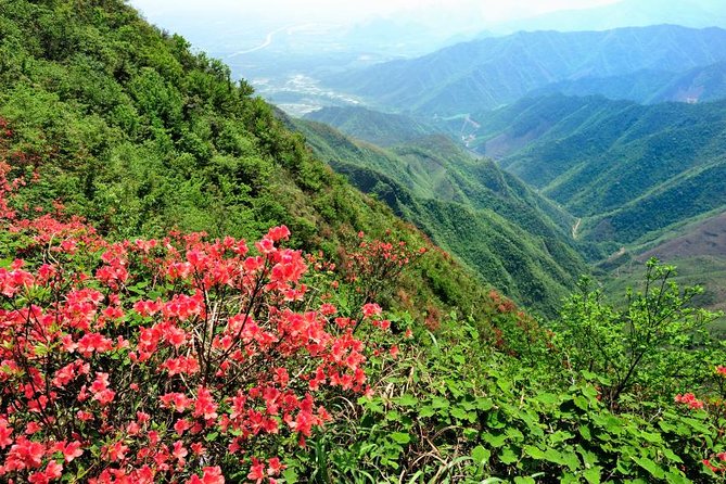 Private Tour: Yao Mountain and Tea Plantation from Guilin - From your Guilin hotel to the mountain
