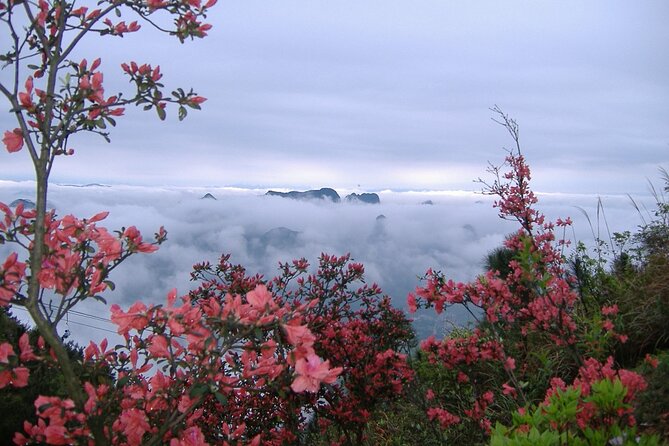 Private Tour: Yao Mountain and Tea Plantation from Guilin - Weather and seasonal planning