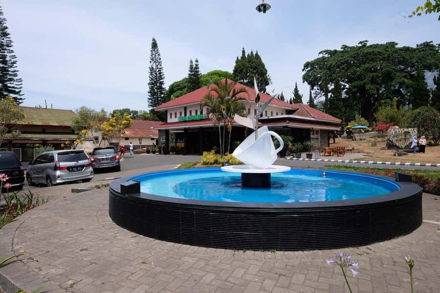 Private Trip Malang/Surabaya : Tour Tea Plantation Wonosari - The tea tasting at the end