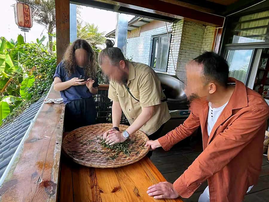 Puer Tea Picking and Tasting | 6 Hour Morning Trip - Key points at a glance