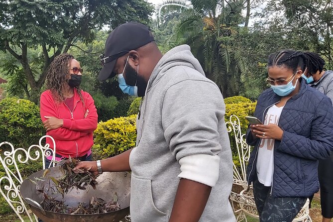 Purple Tea Farm Tour from Nairobi City - Specialty Tea Tasting - Walking the nature trail to the waterfall