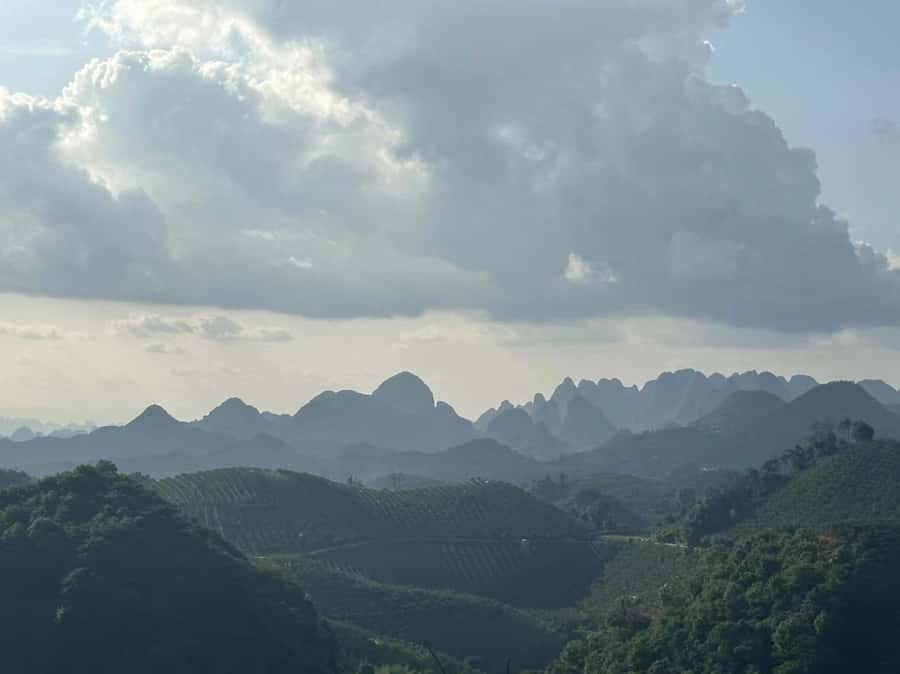 Qixianfeng Tea Plantation Tour in Yangshuo - Is Qixianfeng worth $79?