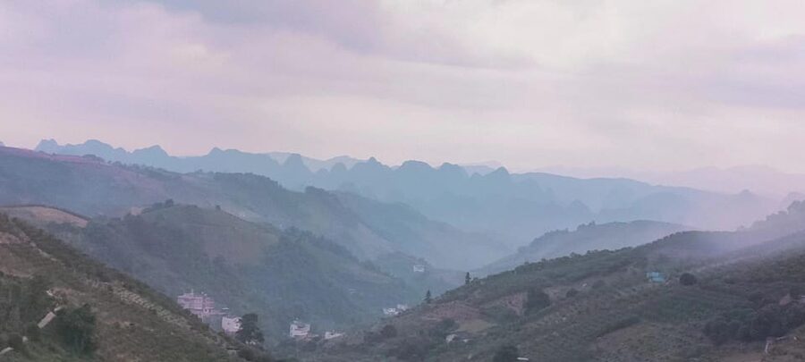 Qixianfeng Tea Plantation Tour in Yangshuo - Taking home 100 grams of freshly made tea