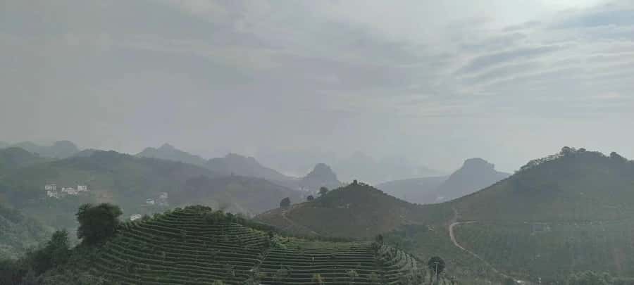 Qixianfeng Tea Plantation Tour in Yangshuo - Walking through Qixianfeng’s tea fields