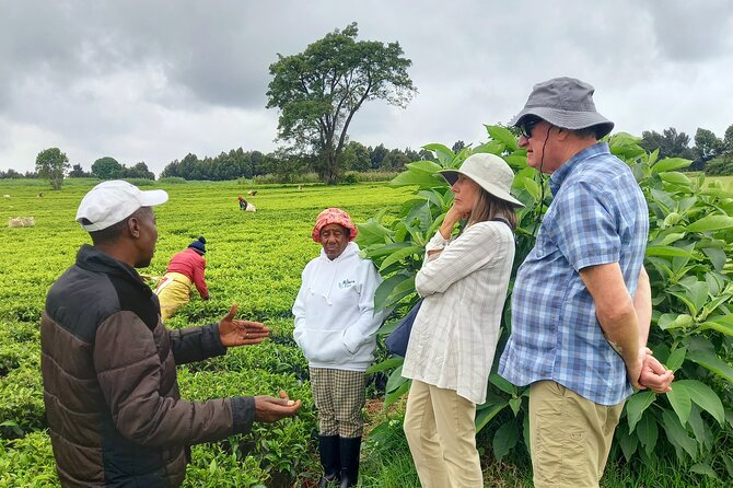 Riara tea farm tour with lunch and tea tasting from Nairobi - Why Limuru makes a good tea stop from Nairobi