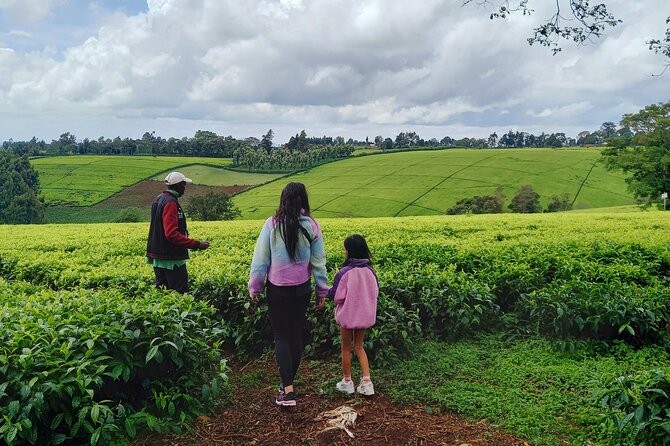 Riara tea farm tour with lunch and tea tasting from Nairobi - How the $150 price works out