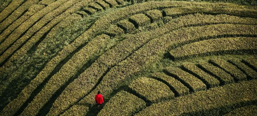 São Miguel: 2-Day Island Tour, Tea & Pineapple Plantation - Key points to know before booking