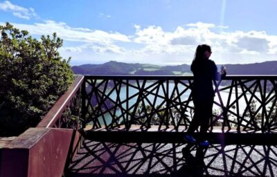 2-Day Island Tour, Tea & Pineapple Plantation