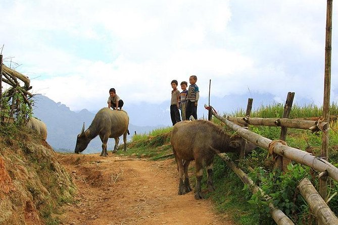 Sapa 2 days 1 night trekking Lao Chai Ta Van - Fansipan mountain by cable car - What this Sapa trip actually gives you