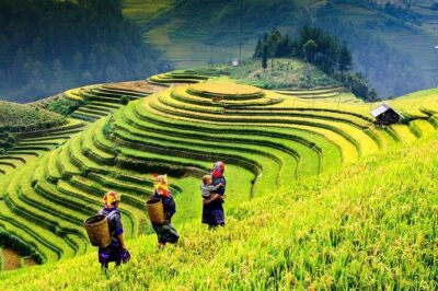 Sapa 2 days 1 night trekking Lao Chai Ta Van – Fansipan mountain by cable car